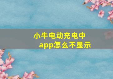 小牛电动充电中 app怎么不显示